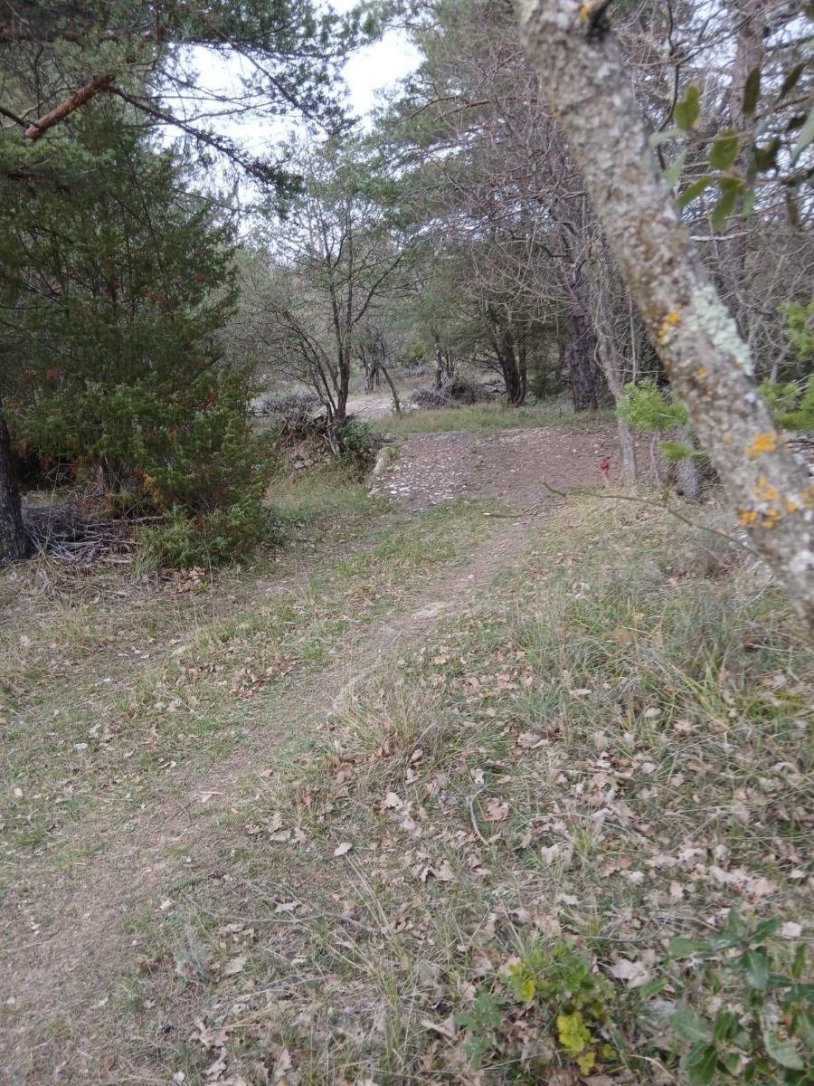 Photo 3 — Terrain  &agrave; vendre &agrave; St vallier de thiey