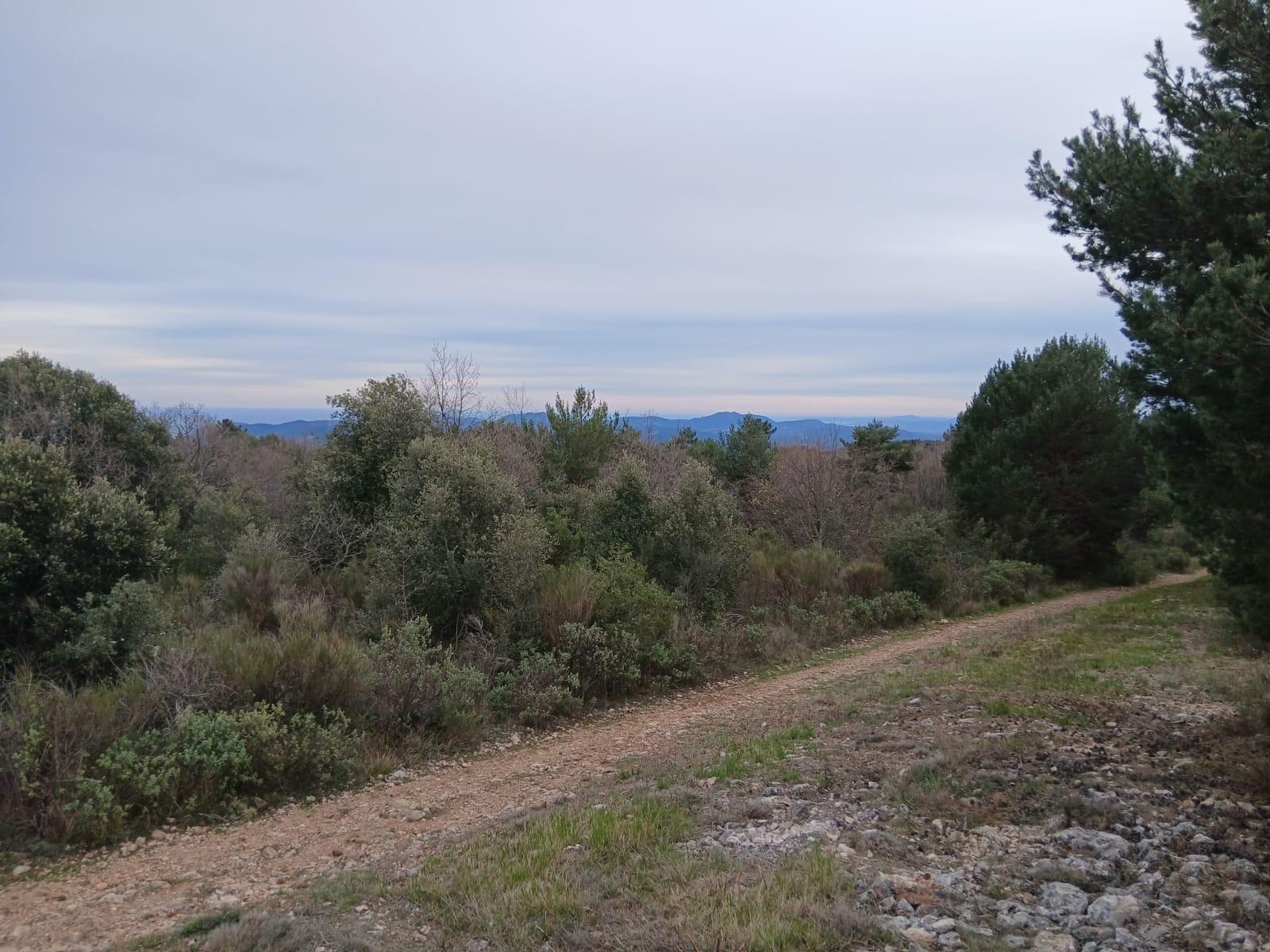 Photo 2 — Terrain  &agrave; vendre &agrave; St vallier de thiey