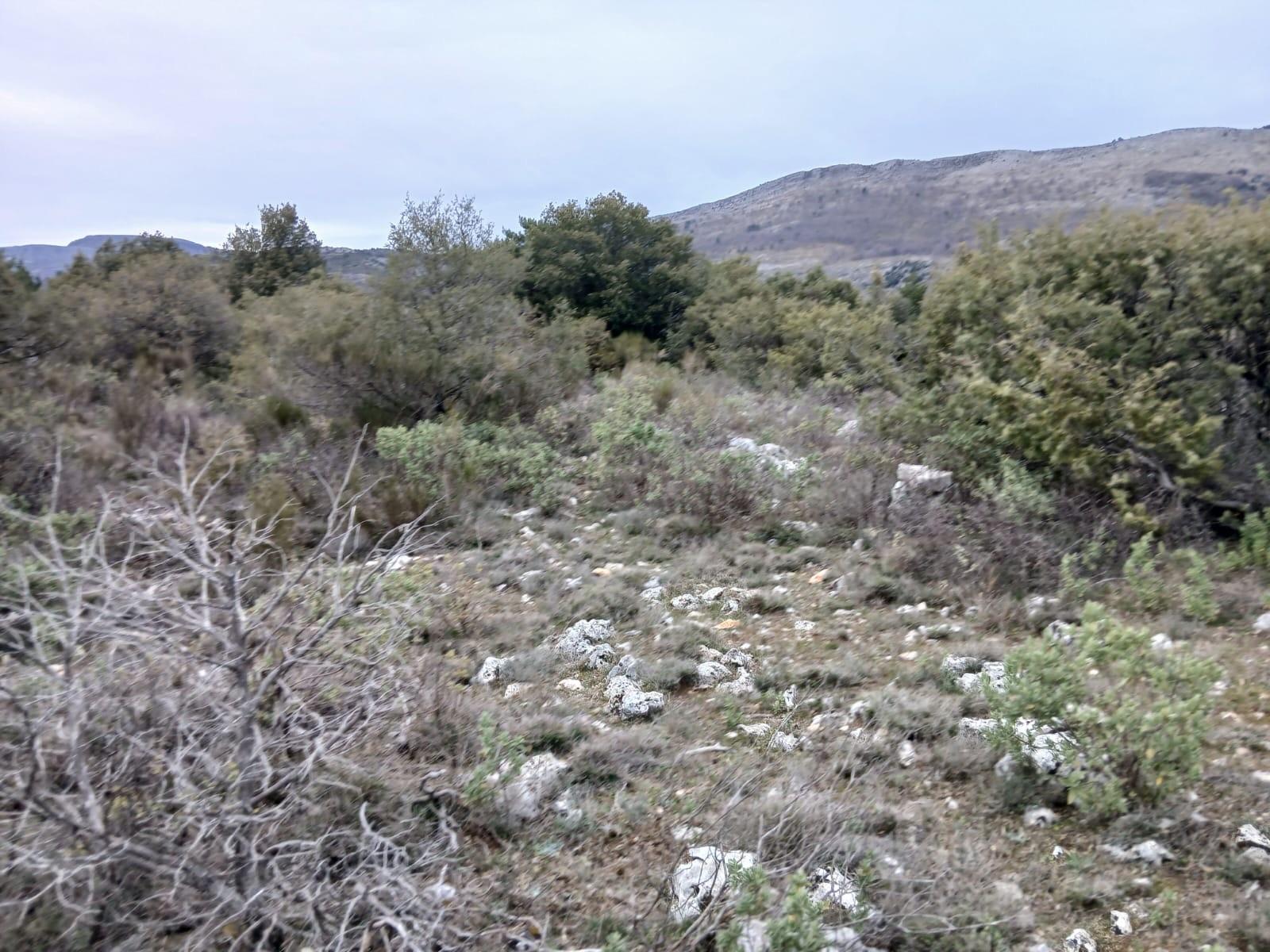 Photo 4 — Terrain  &agrave; vendre &agrave; St vallier de thiey